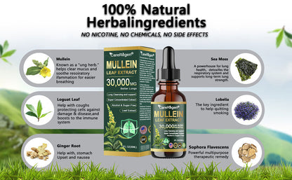 𝗢𝗳𝗳𝗶𝗰𝗶𝗮𝗹 𝗦𝘁𝗼𝗿𝗲:𝗖𝗮𝗿𝗲𝗥𝗲𝗴𝗲𝗻® 𝗢𝗿𝗴𝗮𝗻𝗶𝗰 𝗟𝘂𝗻𝗴 𝗖𝗹𝗲𝗮𝗻𝘀𝗶𝗻𝗴 𝗠𝘂𝗹𝗹𝗲𝗶𝗻 𝗟𝗲𝗮𝗳 𝗘𝘅𝘁𝗿𝗮𝗰𝘁 𝗗𝗿𝗼𝗽𝘀🌸𝐂𝐥𝐢𝐧𝐢𝐜𝐚𝐥𝐥𝐲 𝐩𝐫𝐨𝐯𝐞𝐧, 𝐡𝐢𝐠𝐡𝐥𝐲 𝐜𝐨𝐧𝐜𝐞𝐧𝐭𝐫𝐚𝐭𝐞𝐝 𝐟𝐨𝐫𝐦𝐮𝐥𝐚 𝐭𝐡𝐚𝐭 𝐫𝐞𝐥𝐢𝐞𝐯𝐞𝐬 𝐜𝐨𝐮𝐠𝐡, 𝐩𝐡𝐥𝐞𝐠𝐦, 𝐚𝐬𝐭𝐡𝐦𝐚 & 𝐂𝐎𝐏𝐃 — 𝐛𝐫𝐞𝐚𝐭𝐡𝐞 𝐞𝐚𝐬𝐢𝐞𝐫, 𝐟𝐚𝐬𝐭𝐞𝐫.